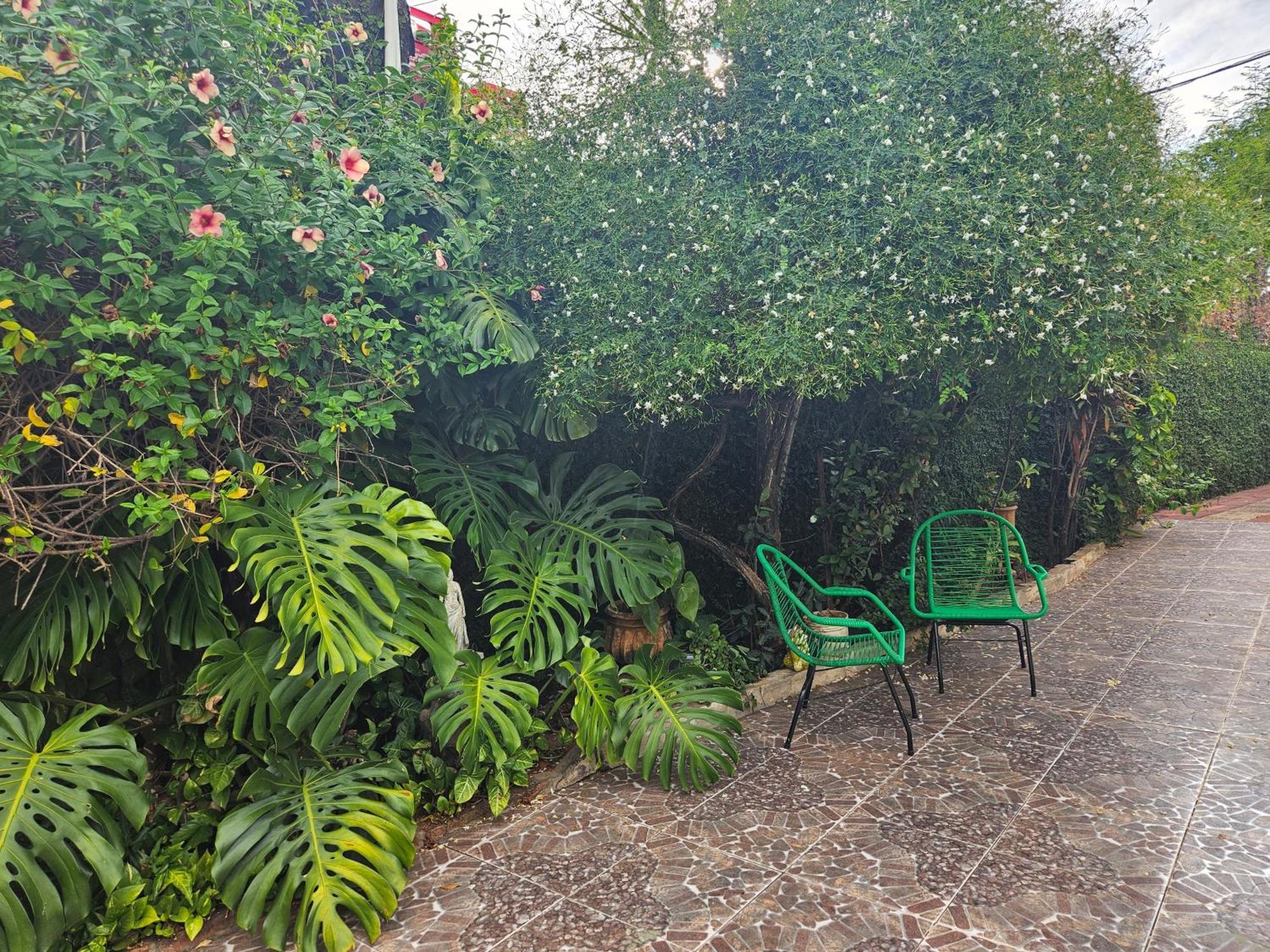 Casa De La Y - B&B เอนการ์นาซิออน ภายนอก รูปภาพ